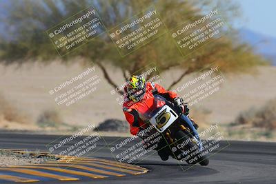 media/Feb-04-2023-SoCal Trackdays (Sat) [[8a776bf2c3]]/Turn 4 (Tree of Life 2pm)/